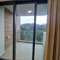 Normanton Park (D5), Apartment #554058671